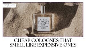 What are the Best Cheap Colognes that Smell Expensive?