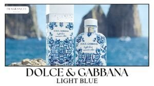 Why Women Love Dolce & Gabbana Light Blue Perfume